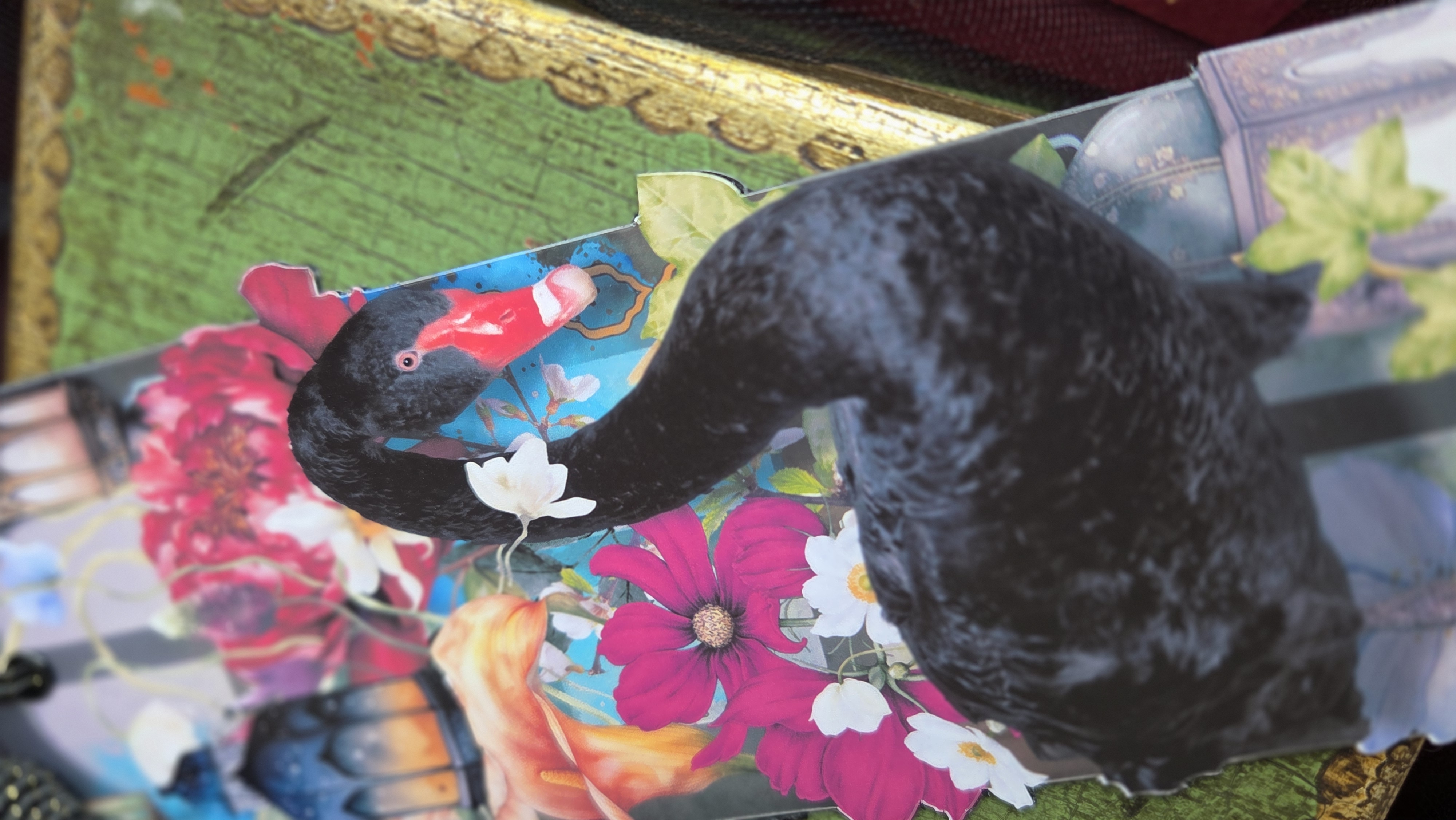 Black Swan bookmark view 3
