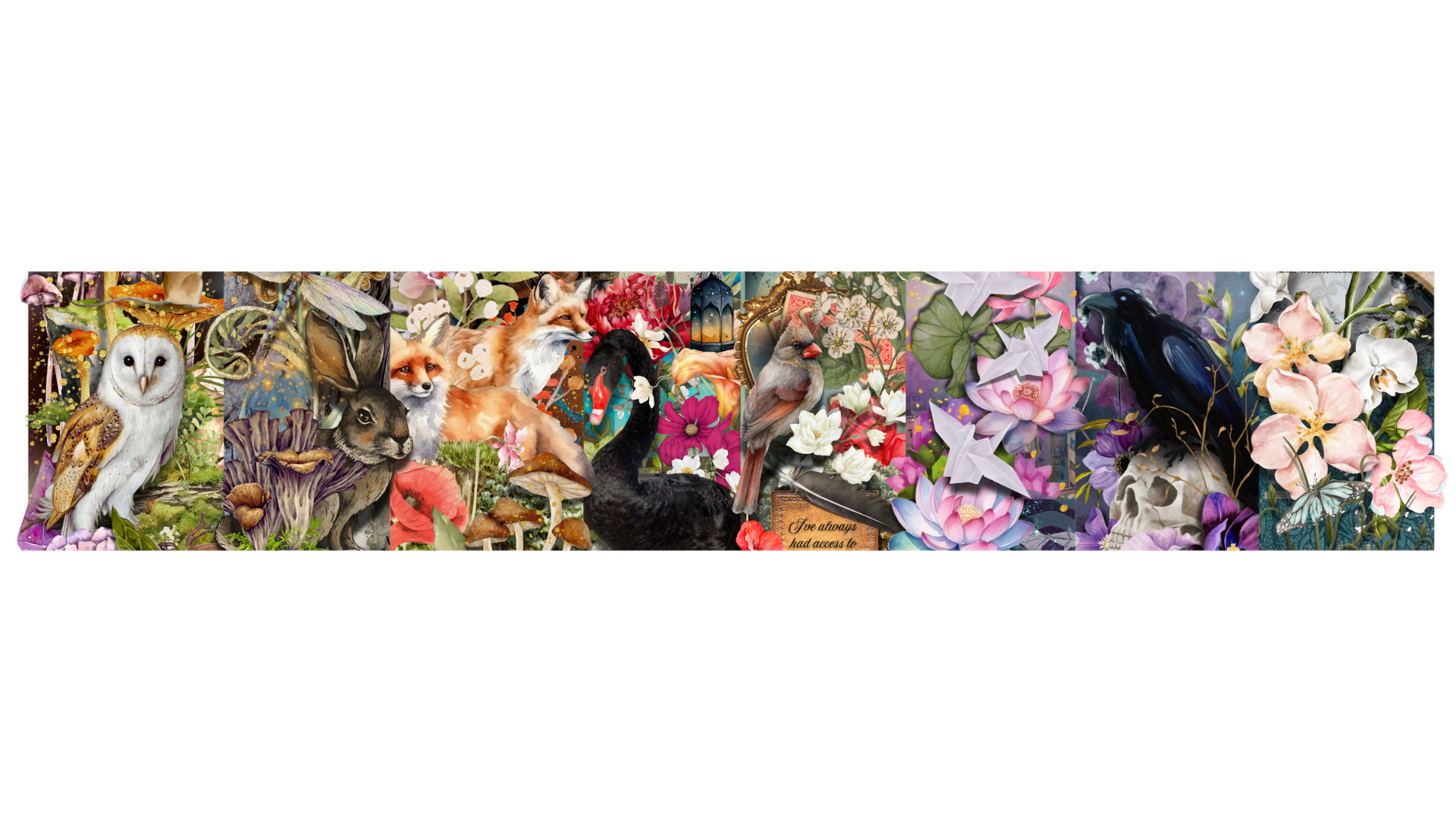 Scrolling Banner of Designs