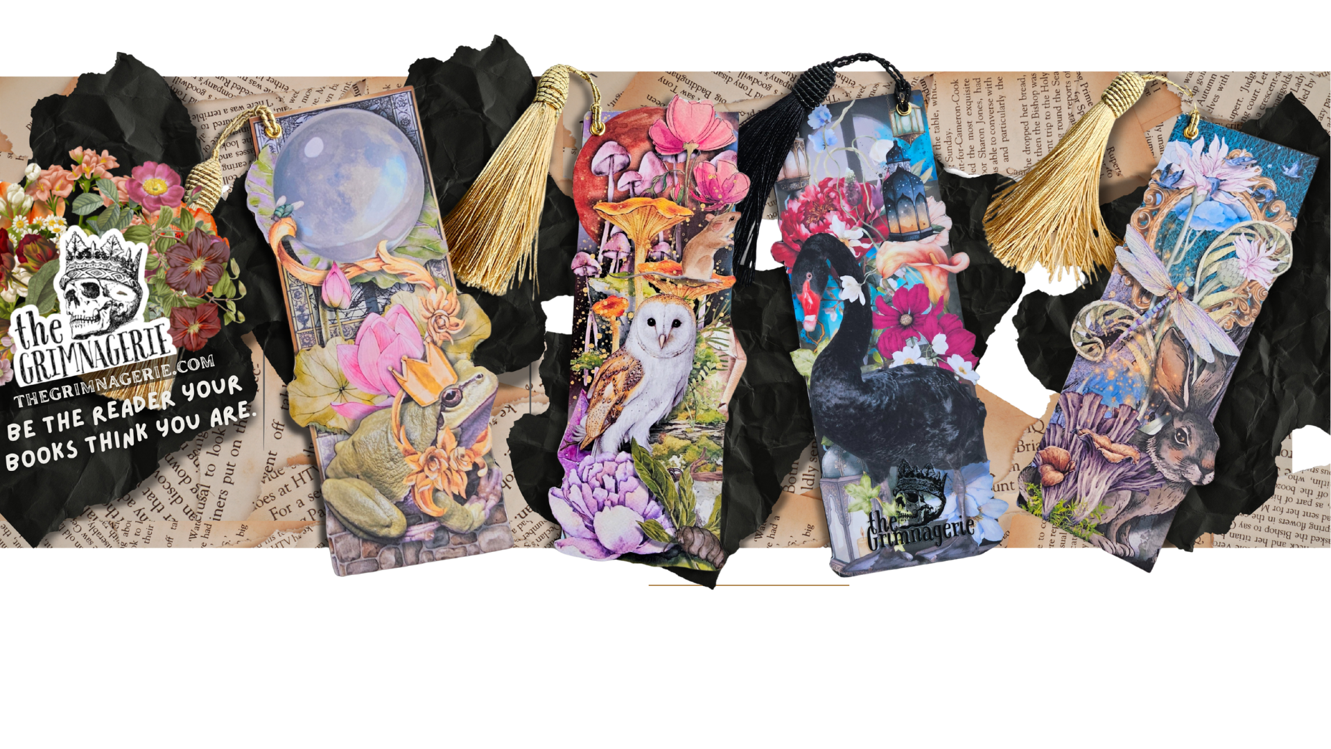 Curiosities and Creations Bottom Banner